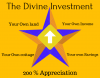 1 The Divine Investment.png