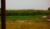 P1010196.JPG