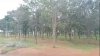 Virudhunagar1.jpeg