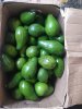 IMG-20190530-WA0020.jpg
