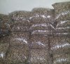 moringa seeds 1 kg packing.jpg