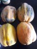 papaya_out1.jpg