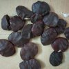 CASTROSINE SEED (1).jpg