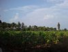 IMG-20190426-WA0005.jpg