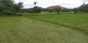 IMG-20200811-WA0089.jpg