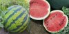 watermellon.jpg