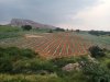 IMG-20201005-WA0085.jpg