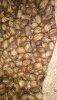 IMG-20201209-WA0019.jpg