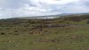 IMG-20210224-WA0001.jpg