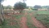 WhatsApp Image 2021-05-30 at 16.30.04 (2).jpeg