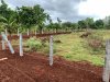 Palya-FarmLand--2021-06-29-16-05-34_1.jpg
