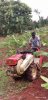 Palya-FarmLand--2021-06-29-16-05-34_2.jpg