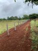 Palya-FarmLand--2021-06-29-16-05-34_3.jpg