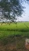 WhatsApp Image 2021-06-17 at 11.01.08 AM.jpeg
