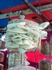 IMG-20210804-WA0004.jpg