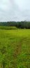 land pic1.jpeg