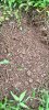 land pic2.jpeg