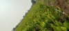 WhatsApp Image 2022-04-16 at 6.23.16 PM (5).jpeg