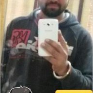 raman20