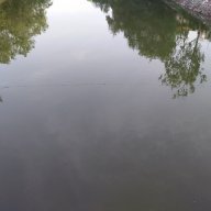 surayya