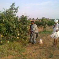 parvathamma farms