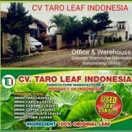 cv taro leaf indonesia