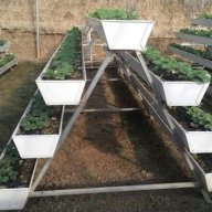 getgrow