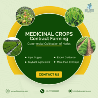 Click-N-Grow Agroventures