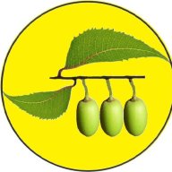 akhadhya tel sabun