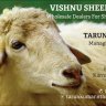 vishnusheepfarm