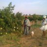 parvathamma farms