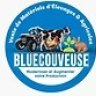 bluecouve