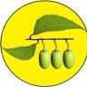 akhadhya tel sabun