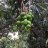 uday67029