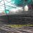 dipesh299