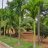 srinifarm