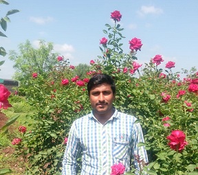 Narendra More on “How we produce high quality dutch roses, red rose, pink white rose and gabriel rose” –